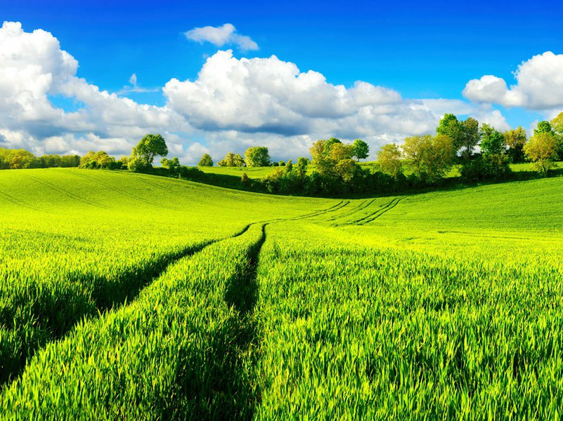 送春酒边原文注释译文赏析-陈着诗词-宋诗全集