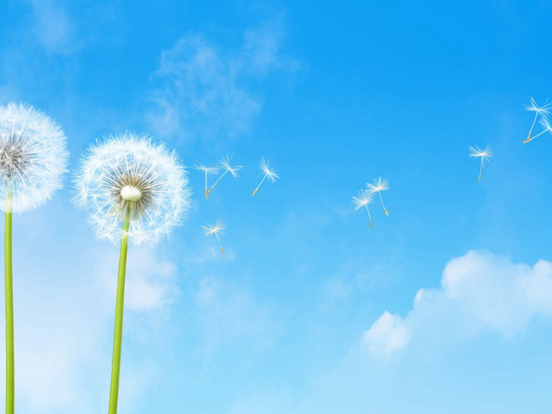 从宋宪登万景楼原文注释译文赏析-晁公遡诗词-宋诗全集