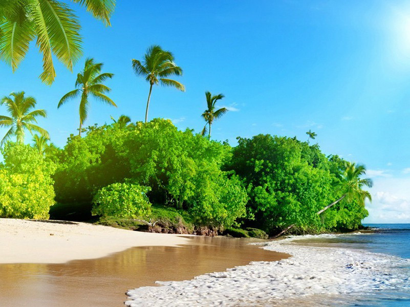 与伯常会宿宿猿洞原文注释译文赏析-程师孟诗词-宋诗全集