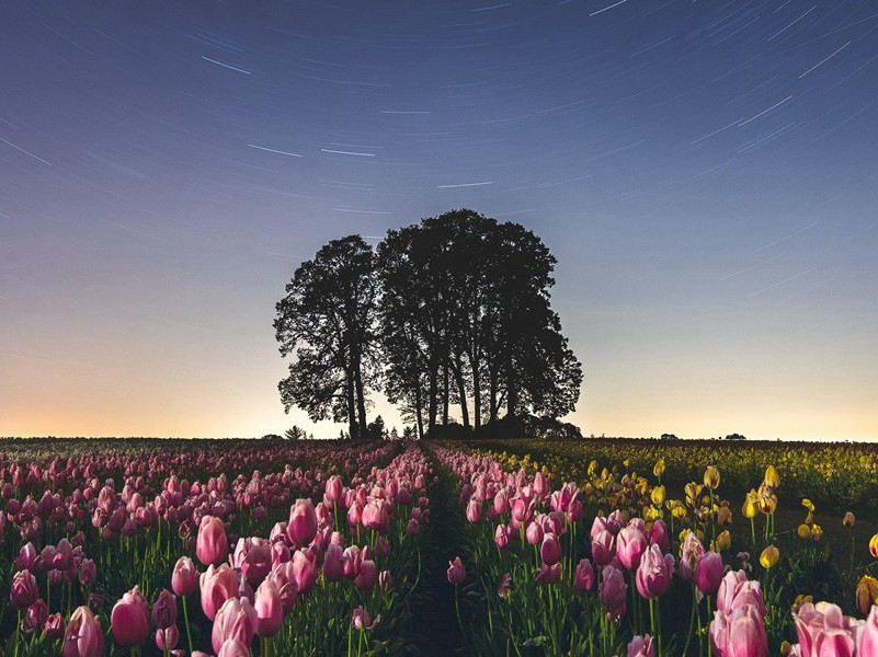 易地成池原文注释译文赏析-陈宓诗词-宋诗全集