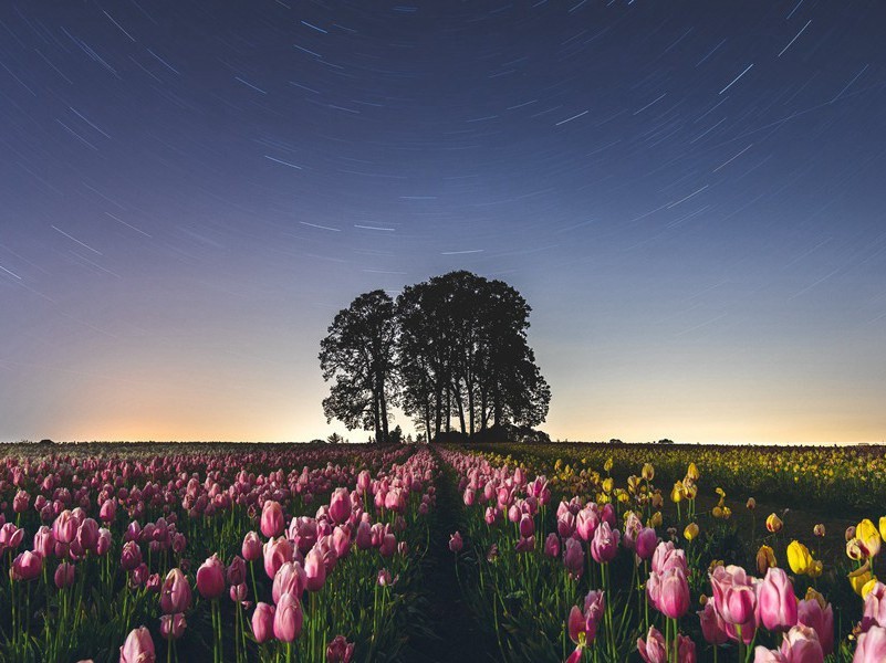 兴福院僧房原文注释译文赏析-陈舜俞诗词-宋诗全集