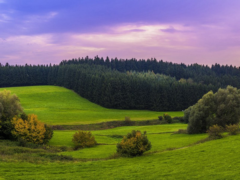 六月十三日寿陈子徽太博十首以无官一身轻有子万事足为韵·其一○原文注释译文赏析-戴表元诗词-宋诗全集