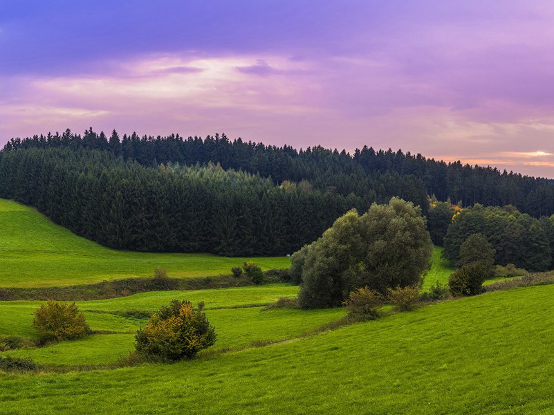 和叶宋英三绝句·其一原文注释译文赏析-陈杰诗词-宋诗全集