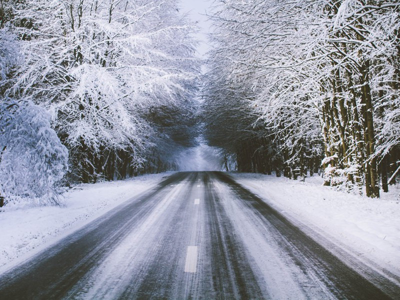 江亭原文注释译文赏析-邓深诗词-宋诗全集