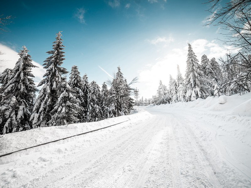 次韵饮酒原文注释译文赏析-晁说之诗词-宋诗全集