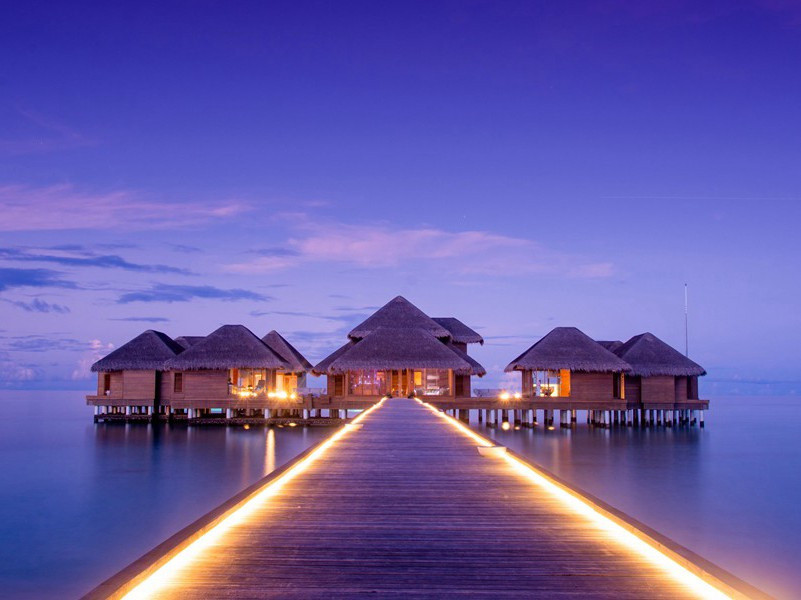 怀天经智老因访之原文注释译文赏析-陈与义诗词-宋诗全集