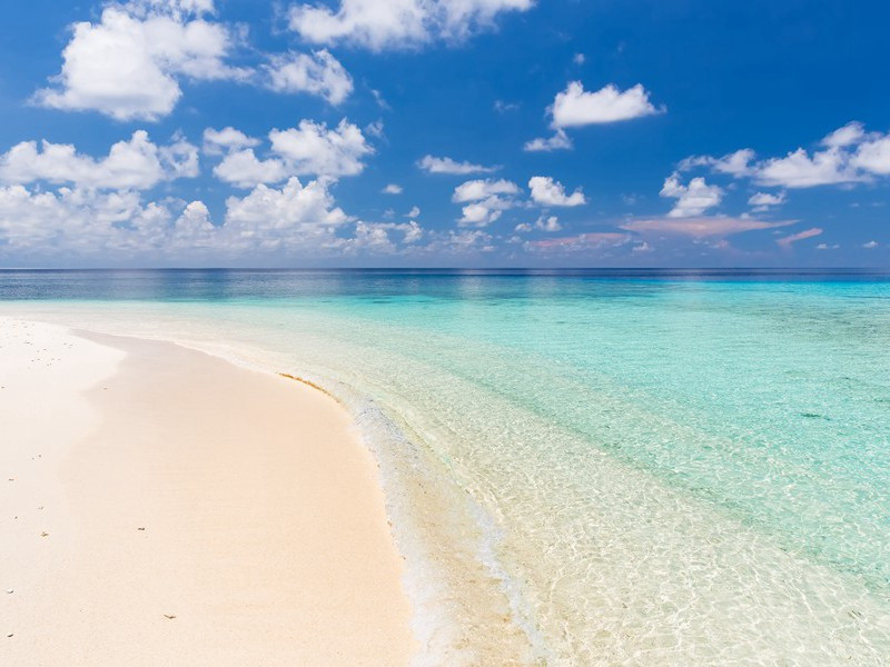 元夜病起二首·其一原文注释译文赏析-陈造诗词-宋诗全集