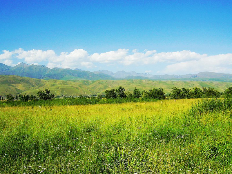 小雪前三日锺冠之约余侍老人行山舟发后洪入杜坞自郑盖庵过阆山趋翔凤山菁山徧览杨坟秀园遂至何山道场山乘兴薄吴兴访玉湖书院水晶境界而归自戊子至庚子阴晴相半胜处辄徘徊赋诗饮酒伟哉观也数诗见后·宿妙胜阁·其二原文注释译文赏析-洪咨夔诗词-宋诗全集