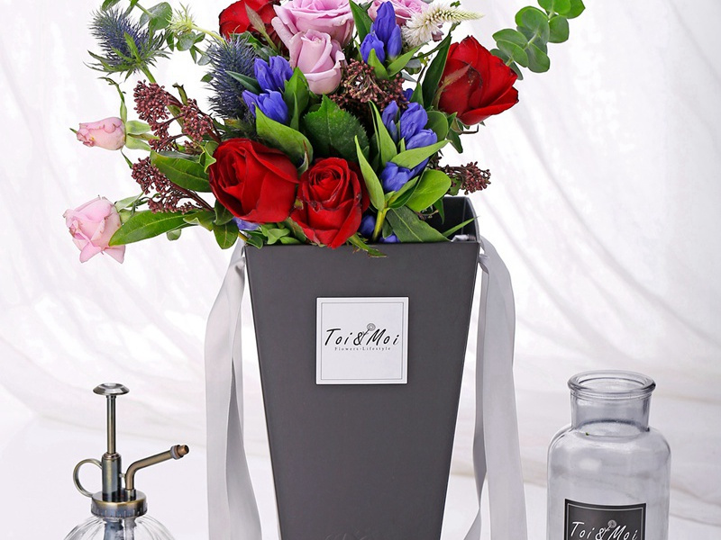 忘归原文注释译文赏析-邓深诗词-宋诗全集