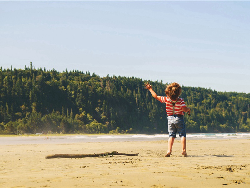 读李白集用奴字韵原文注释译文赏析-李纲诗词-宋诗全集