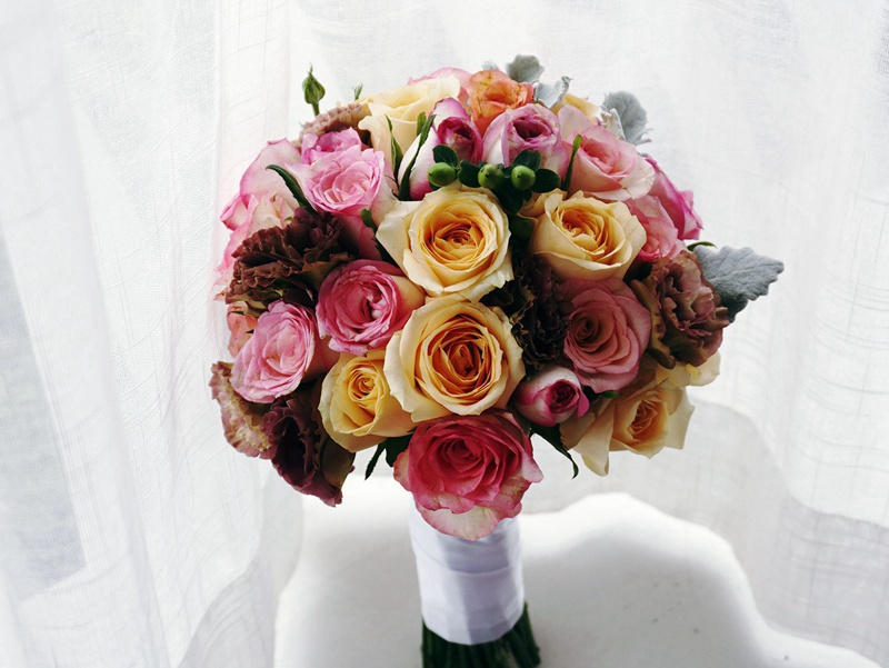 客自邵武来言王野使君平寇·其二原文注释译文赏析-戴复古诗词-宋诗全集