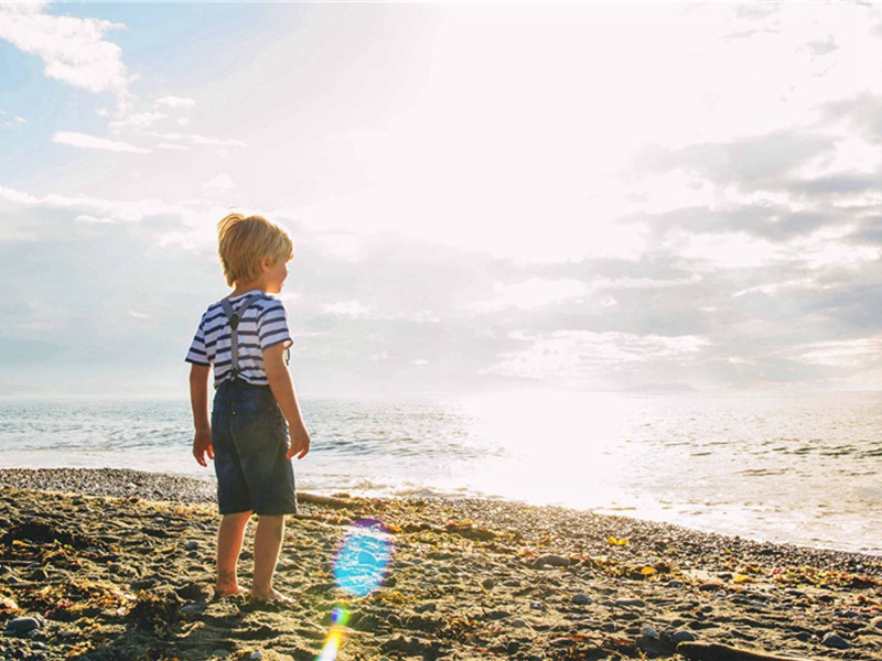 双林善慧大士录赞原文注释译文赏析-李纲诗词-宋诗全集