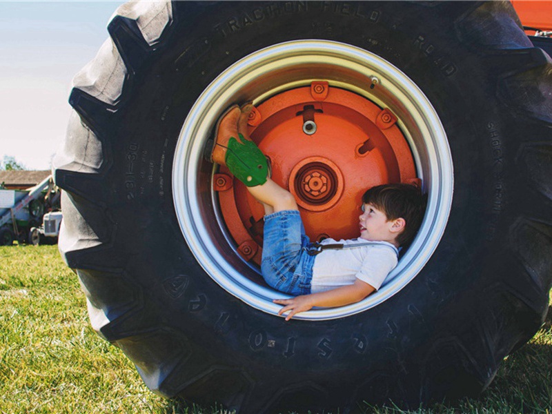 石藓原文注释译文赏析-韩维诗词-宋诗全集