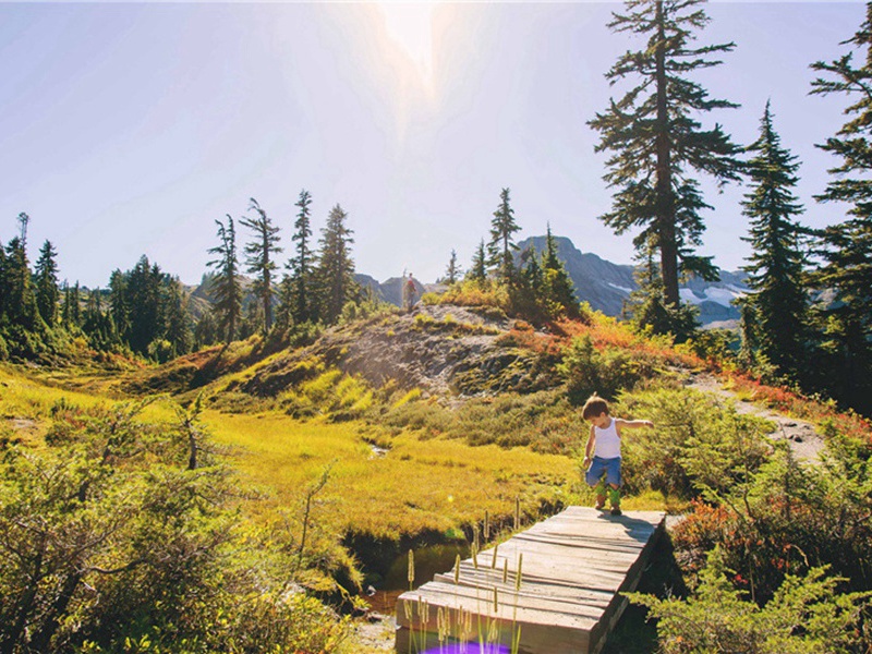 题张子正观察溪风亭原文注释译文赏析-郭仲荀诗词-宋诗全集