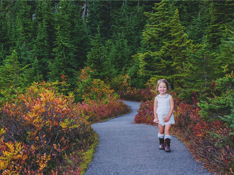 和杨公济钱塘西湖百题·杨梅石门原文注释译文赏析-郭祥正诗词-宋诗全集