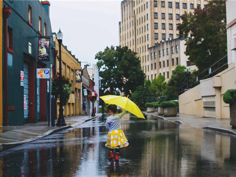 道中即事·其四原文注释译文赏析-方岳诗词-宋诗全集