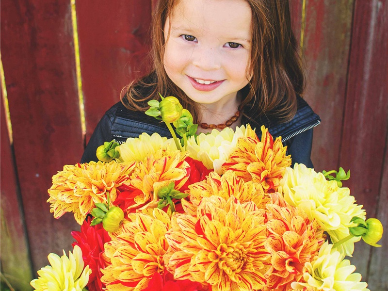 长短星歌原文注释译文赏析-黄庭坚诗词-宋诗全集