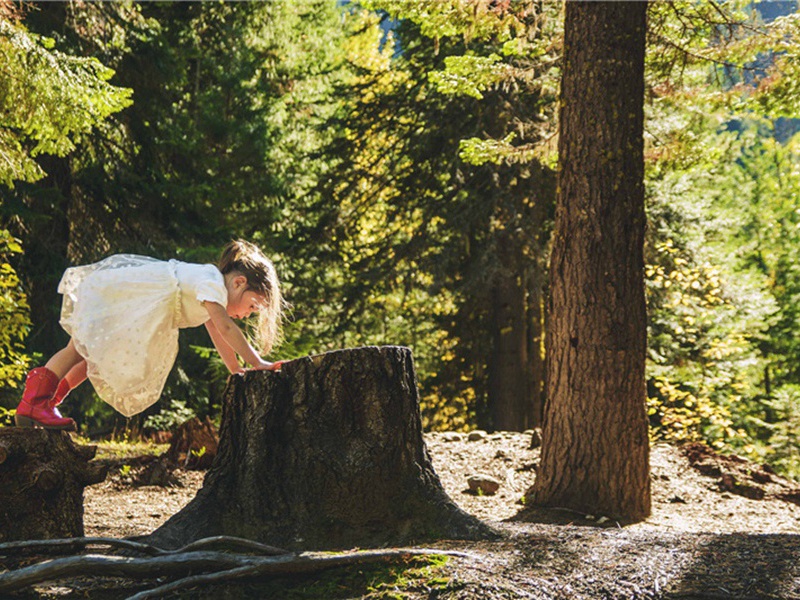 句·其一三原文注释译文赏析-韩驹诗词-宋诗全集