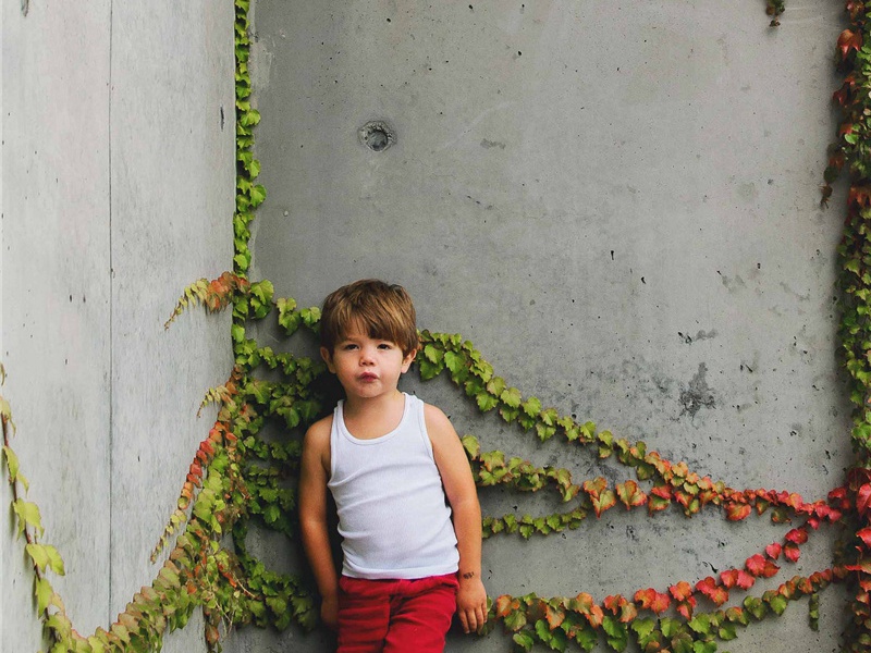 高宗郊前朝献景灵宫二十一首·再诣圣祖位用《乾安》。原文注释译文赏析-郊庙朝会歌辞诗词-宋诗全集