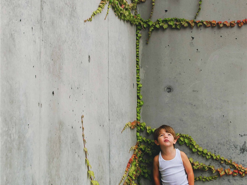 和耿宪见赠原文注释译文赏析-范纯仁诗词-宋诗全集