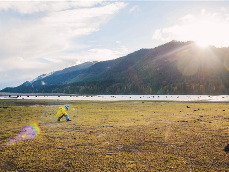 句原文注释译文赏析-乐诏诗词-宋诗全集