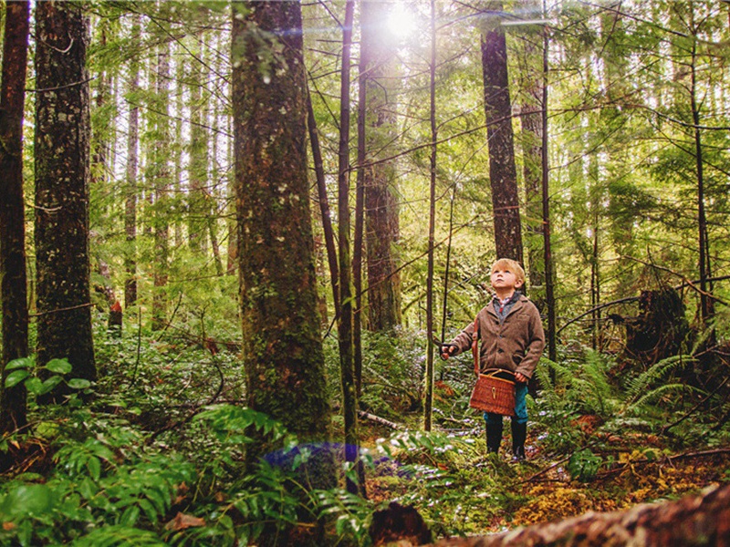 送吴安道学士知崇州原文注释译文赏析-范仲淹诗词-宋诗全集