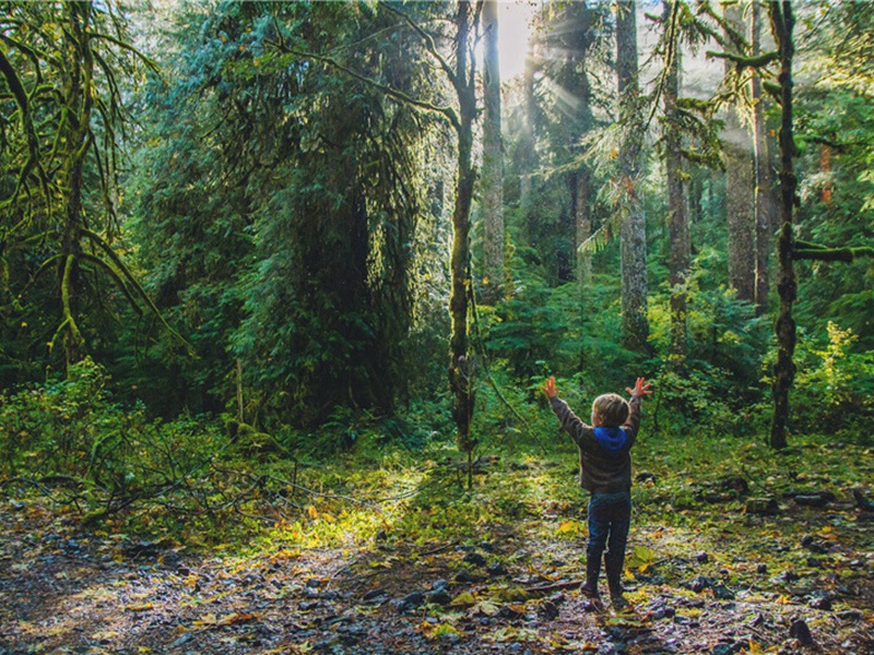 答宇文文学原文注释译文赏析-高似孙诗词-宋诗全集