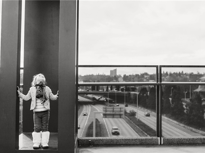 戆老庵会陈龙图原文注释译文赏析-韩琦诗词-宋诗全集