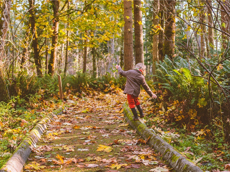 秋居杂咏·其一原文注释译文赏析-李弥逊诗词-宋诗全集