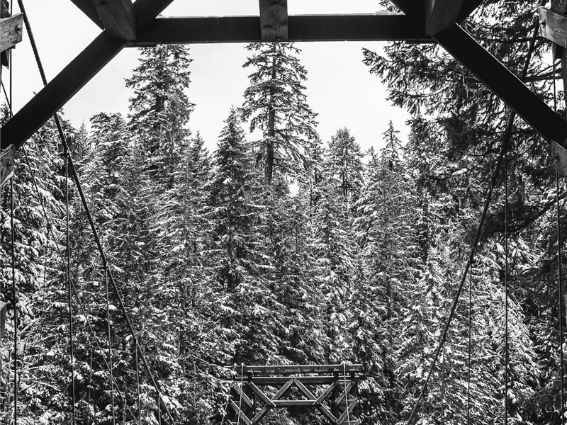 次韵张提刑送行·其二原文注释译文赏析-洪咨夔诗词-宋诗全集