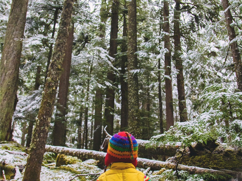 登无相绝顶旧有东坡题字今不复见原文注释译文赏析-李彭诗词-宋诗全集