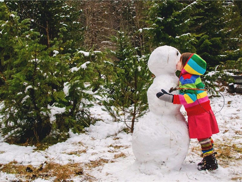 何文蔚以瑞莲新篘见饷因以双井茶报之原文注释译文赏析-韩淲诗词-宋诗全集