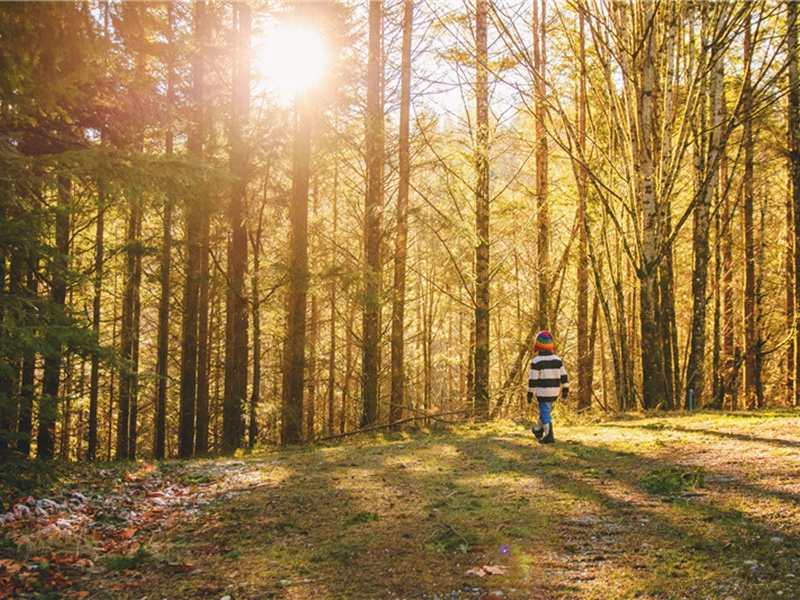 普照院原文注释译文赏析-李淛诗词-宋诗全集