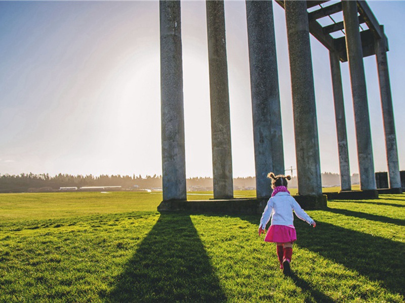 野庐原文注释译文赏析-胡宿诗词-宋诗全集