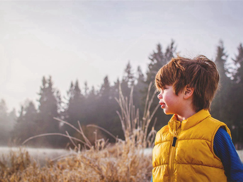 和张倅湖上十绝·其一○原文注释译文赏析-姜特立诗词-宋诗全集