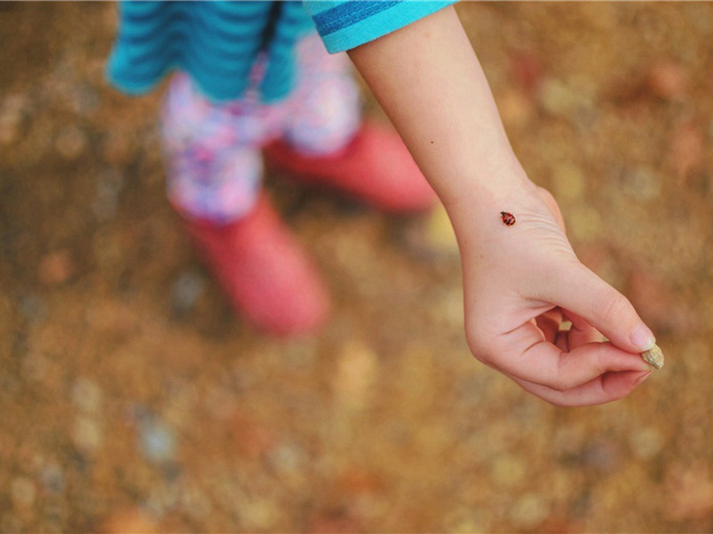 晚过黄池村原文注释译文赏析-金君卿诗词-宋诗全集