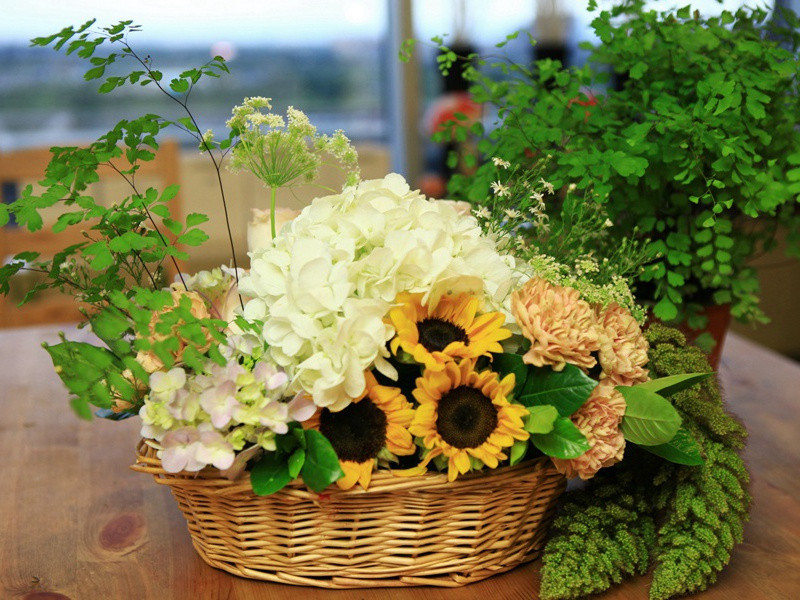 和如晦二首·其二原文注释译文赏析-陈襄诗词-宋诗全集