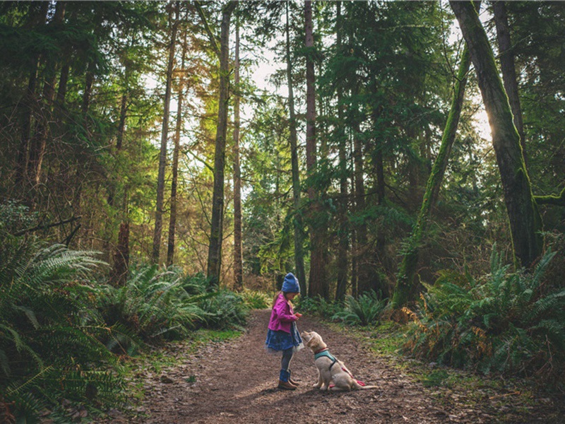 端平二年端午帖子词·贵妃合·其四原文注释译文赏析-洪咨夔诗词-宋诗全集
