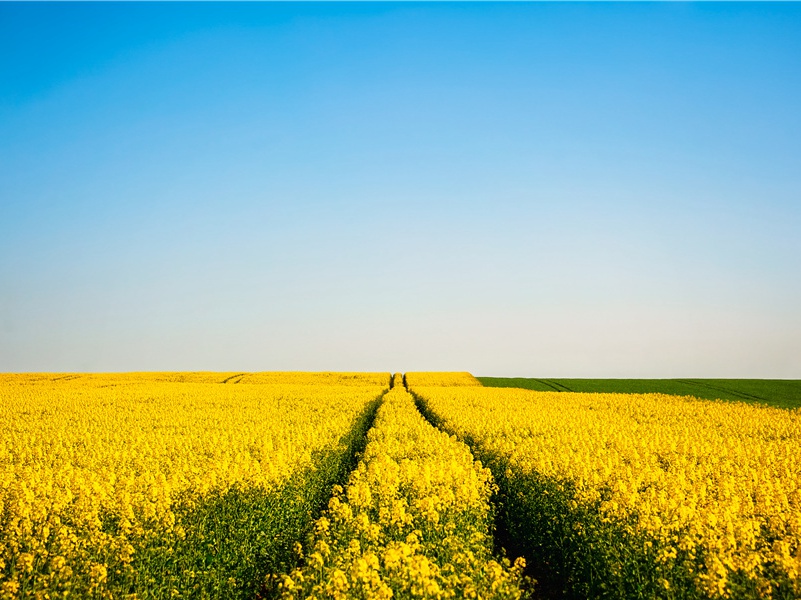 东阳方韶卿惠古意七篇久不得和五月二十六日将假馆宗阳桥稍有闲暇乃为次韵因寄讯彼中吴子善前辈·其六原文注释译文赏析-戴表元诗词-宋诗全集