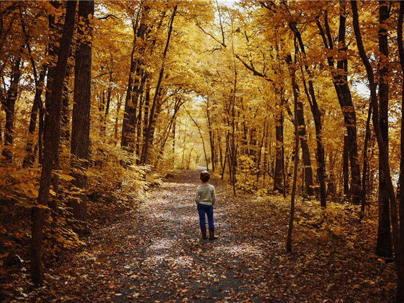 和徐判院见惠诗篇·其一原文注释译文赏析-姜特立诗词-宋诗全集
