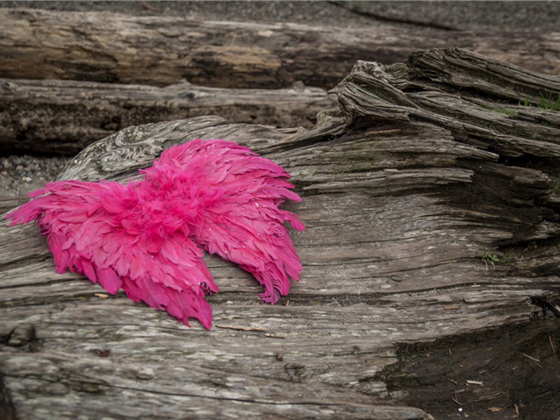 挽黄岩赵郎中二首·其二原文注释译文赏析-刘克庄诗词-宋诗全集