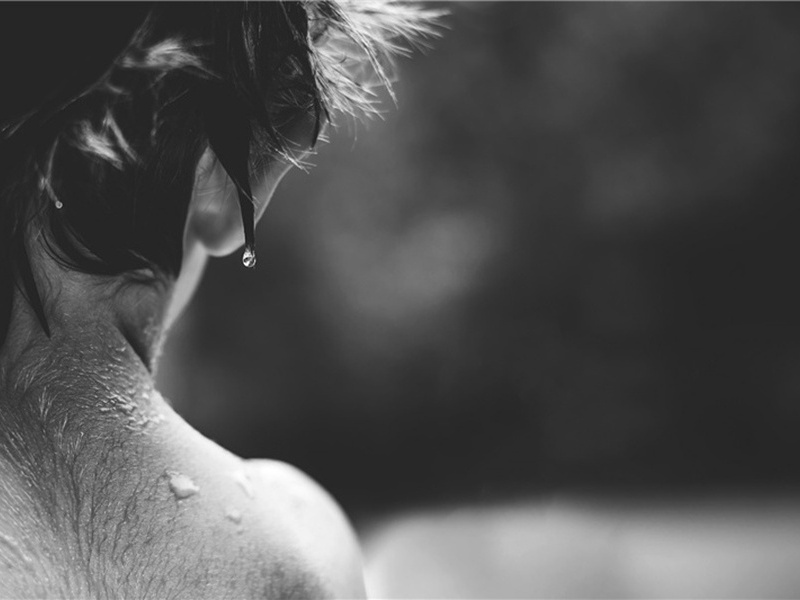 谢钱珣仲惠高丽墨原文注释译文赏析-韩驹诗词-宋诗全集