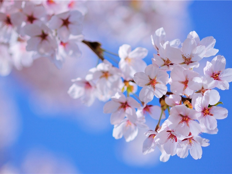 游乾明分韵得山字原文注释译文赏析-陈造诗词-宋诗全集