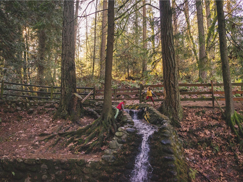 和陈传道秋日十咏·秋风原文注释译文赏析-贺铸诗词-宋诗全集