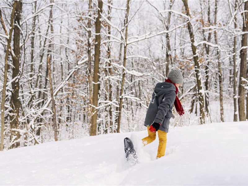 句原文注释译文赏析-胡份诗词-宋诗全集