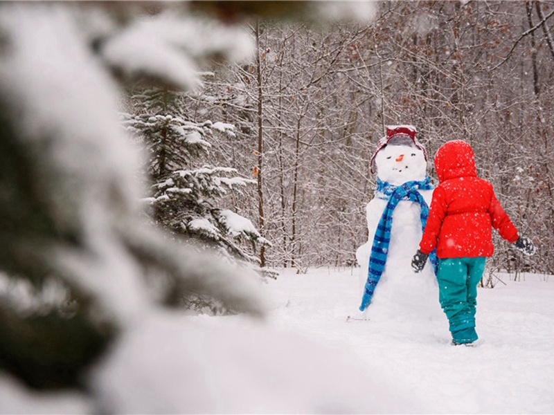 次韵抱朴君问病求闲原文注释译文赏析-韩淲诗词-宋诗全集