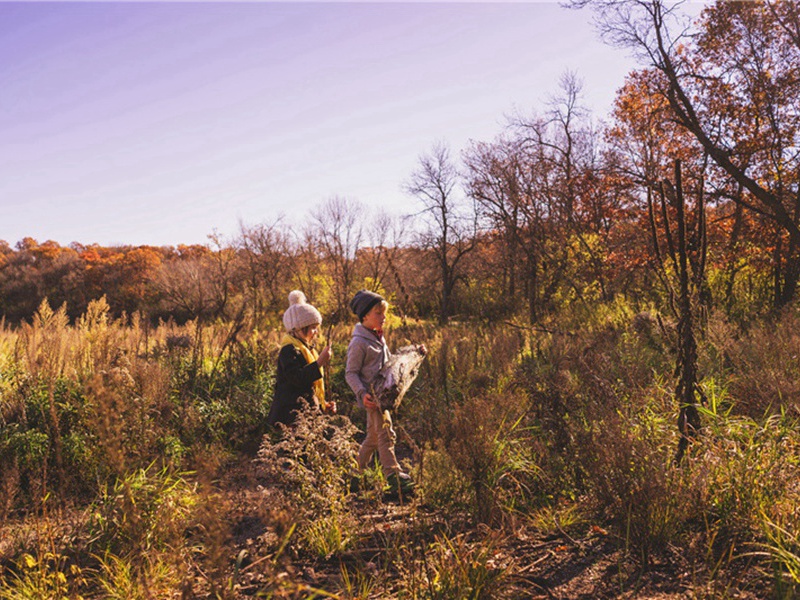 刘家江阻风·其一原文注释译文赏析-洪咨夔诗词-宋诗全集