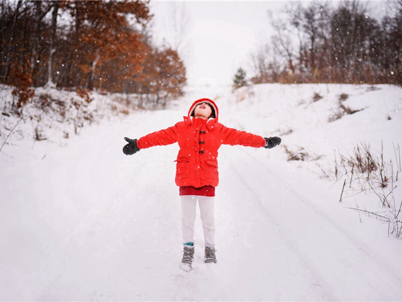 清风谣原文注释译文赏析-范仲淹诗词-宋诗全集