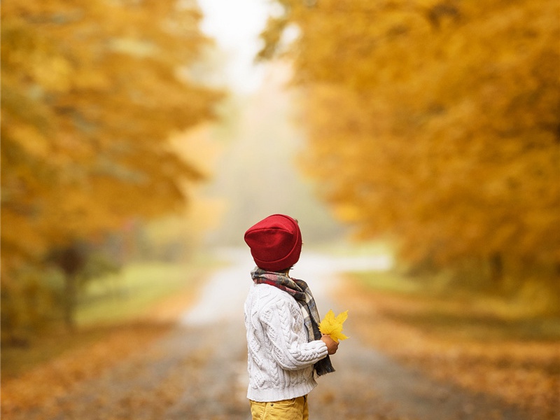 司徒侍中杜公挽辞三首·其二原文注释译文赏析-韩琦诗词-宋诗全集