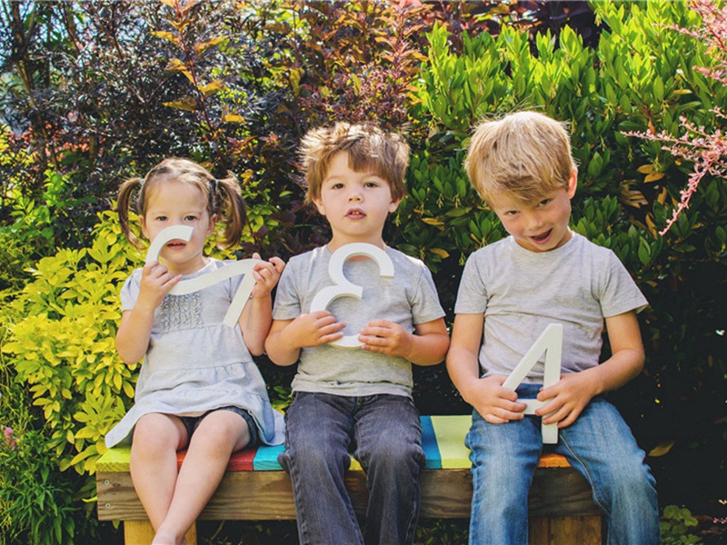 庚寅元夕月当蚀雨作不见明日奚相士索诗书此原文注释译文赏析-黎廷瑞诗词-宋诗全集